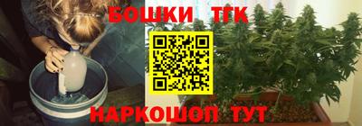 индика Можайск