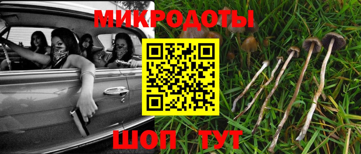Галлюциногенные грибы мухоморы  наркота  Шебекино  Вход с VPN 