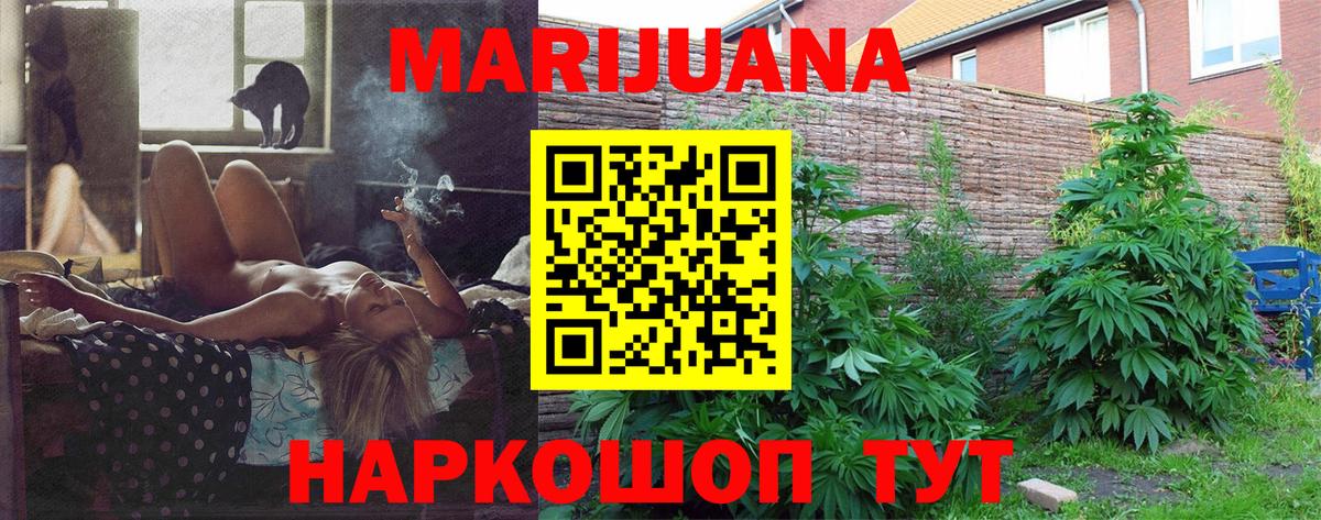 Бошки Шишки план Шебекино